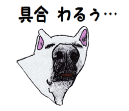 Alba of a White Shepherd and Friends (J) sticker #1198676