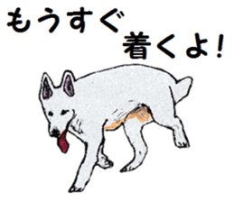 Alba of a White Shepherd and Friends (J) sticker #1198677