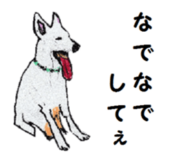 Alba of a White Shepherd and Friends (J) sticker #1198679