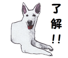 Alba of a White Shepherd and Friends (J) sticker #1198682