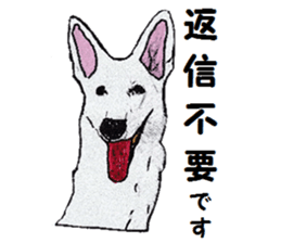 Alba of a White Shepherd and Friends (J) sticker #1198684