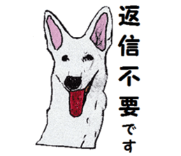 Alba of a White Shepherd and Friends (J) sticker #1198684