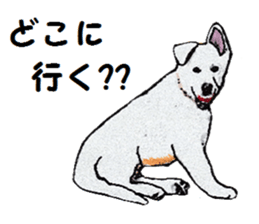 Alba of a White Shepherd and Friends (J) sticker #1198685