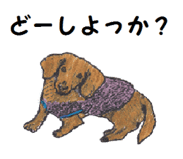 Alba of a White Shepherd and Friends (J) sticker #1198686