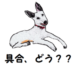 Alba of a White Shepherd and Friends (J) sticker #1198687