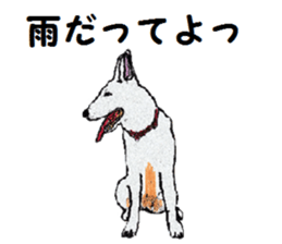 Alba of a White Shepherd and Friends (J) sticker #1198690