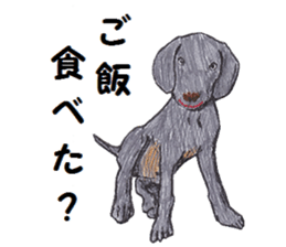 Alba of a White Shepherd and Friends (J) sticker #1198692