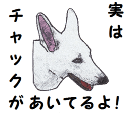 Alba of a White Shepherd and Friends (J) sticker #1198694