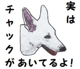 Alba of a White Shepherd and Friends (J) sticker #1198694