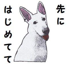 Alba of a White Shepherd and Friends (J) sticker #1198696