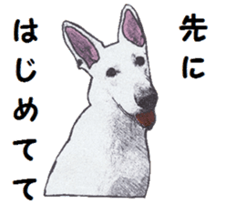Alba of a White Shepherd and Friends (J) sticker #1198696