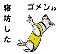 Alba of a White Shepherd and Friends (J) sticker #1198697