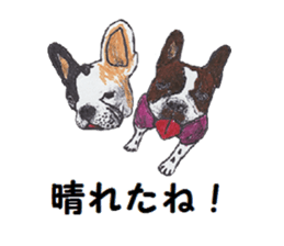 Alba of a White Shepherd and Friends (J) sticker #1198699