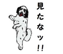 Alba of a White Shepherd and Friends (J) sticker #1198700