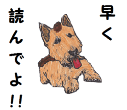 Alba of a White Shepherd and Friends (J) sticker #1198702