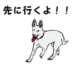 Alba of a White Shepherd and Friends (J) sticker #1198703