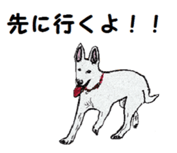 Alba of a White Shepherd and Friends (J) sticker #1198703