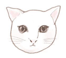 Cat Sketch sticker #1201866