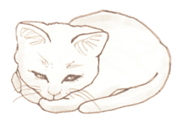 Cat Sketch sticker #1201869