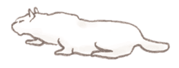 Cat Sketch sticker #1201876
