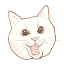 Cat Sketch sticker #1201879