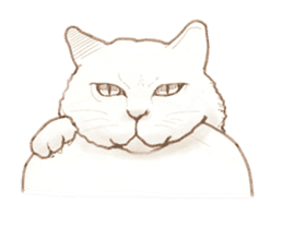 Cat Sketch sticker #1201881