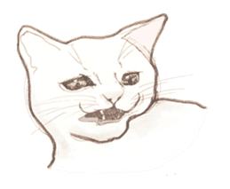 Cat Sketch sticker #1201882