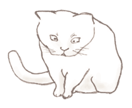 Cat Sketch sticker #1201884