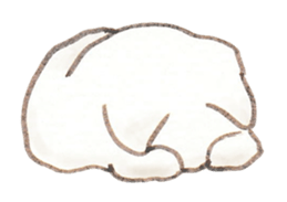 Cat Sketch sticker #1201887