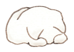 Cat Sketch sticker #1201887