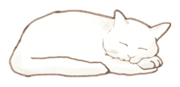 Cat Sketch sticker #1201891