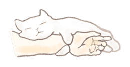 Cat Sketch sticker #1201902