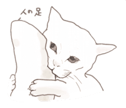 Cat Sketch sticker #1201904