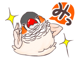 Muscle zebra finch And Friends sticker #1205186