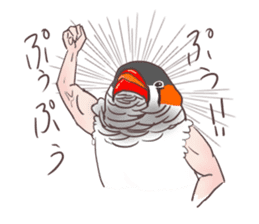 Muscle zebra finch And Friends sticker #1205188