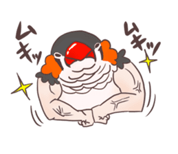 Muscle zebra finch And Friends sticker #1205193