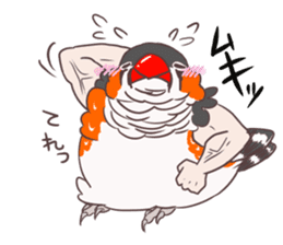 Muscle zebra finch And Friends sticker #1205194