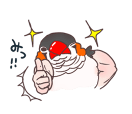 Muscle zebra finch And Friends sticker #1205197