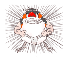 Muscle zebra finch And Friends sticker #1205198