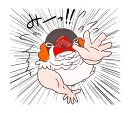 Muscle zebra finch And Friends sticker #1205201