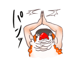 Muscle zebra finch And Friends sticker #1205203