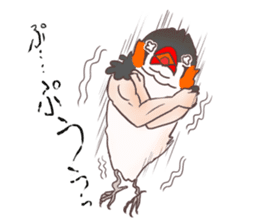 Muscle zebra finch And Friends sticker #1205205