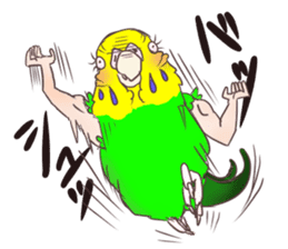 Muscle zebra finch And Friends sticker #1205207