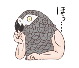 Muscle zebra finch And Friends sticker #1205213