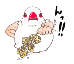 Muscle zebra finch And Friends sticker #1205214