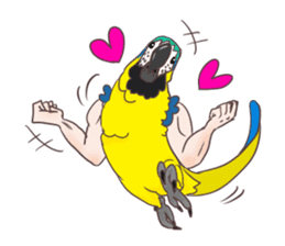 Muscle zebra finch And Friends sticker #1205218