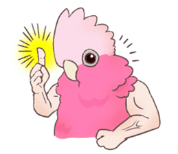 Muscle zebra finch And Friends sticker #1205222