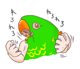 Muscle zebra finch And Friends sticker #1205223