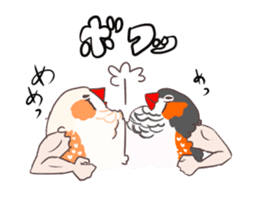 Muscle zebra finch And Friends sticker #1205224