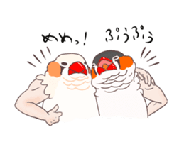 Muscle zebra finch And Friends sticker #1205225